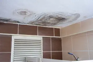 Molds in the bathroom caused by dirty water leaking from the upper floor