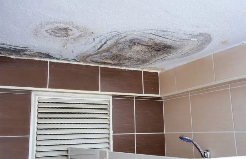 Molds in the bathroom caused by dirty water leaking from the upper floor