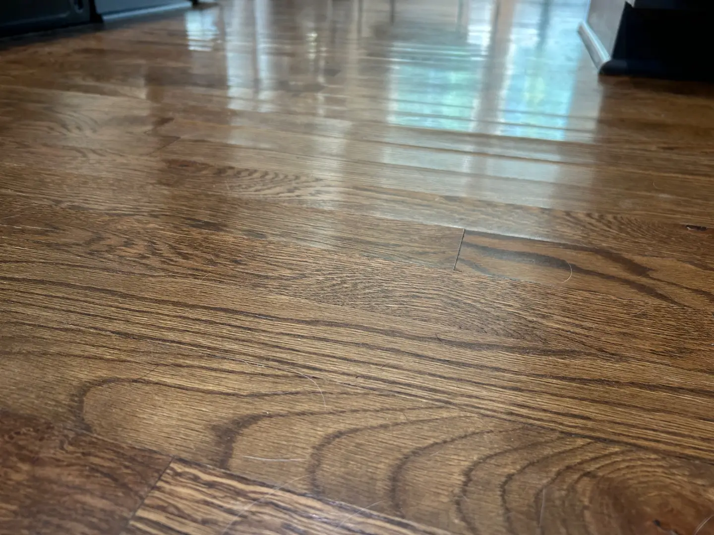 Water Damage Overland Park, KS