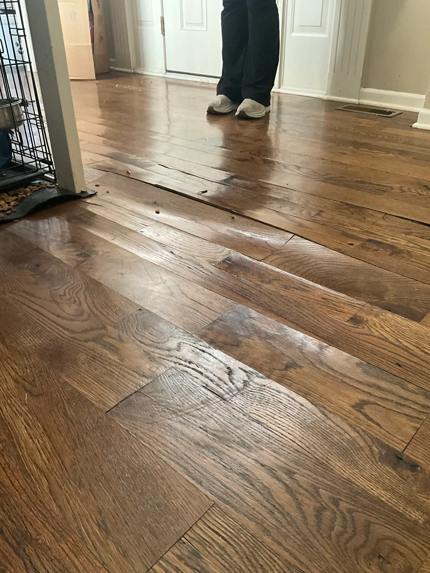 Water Damage Olathe, KS