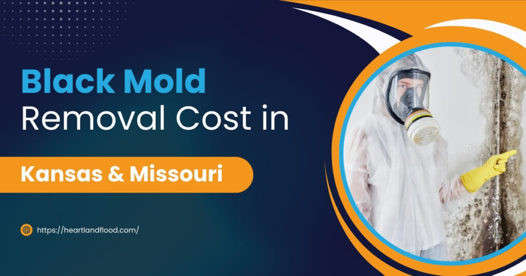 Black Mold Removal Cost in Kansas & Missouri