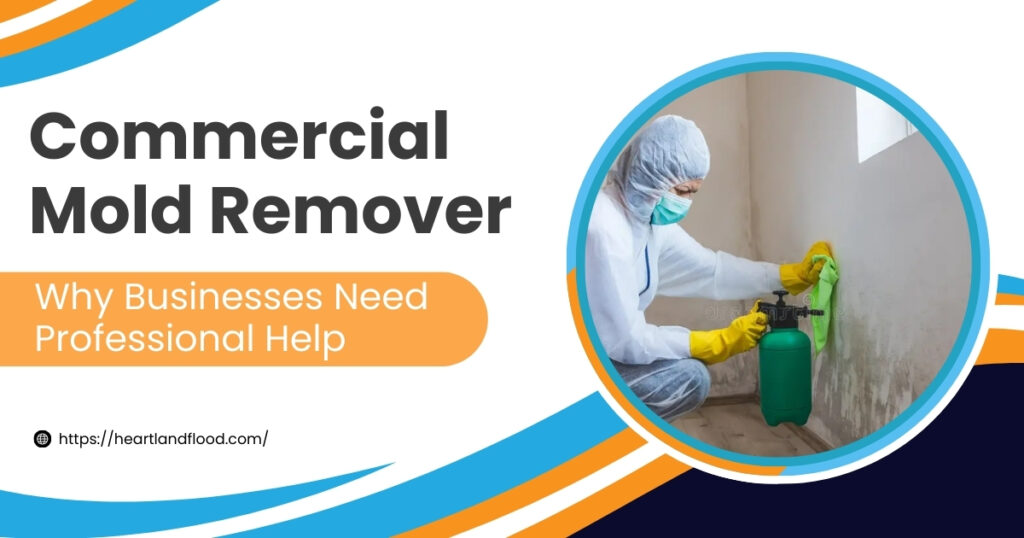 24 - Heartland Restoration Commercial Mold Remover: Why Businesses Need Professional Help