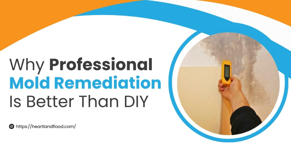 28 - Heartland Restoration Why Professional Mold Remediation Is Better Than DIY