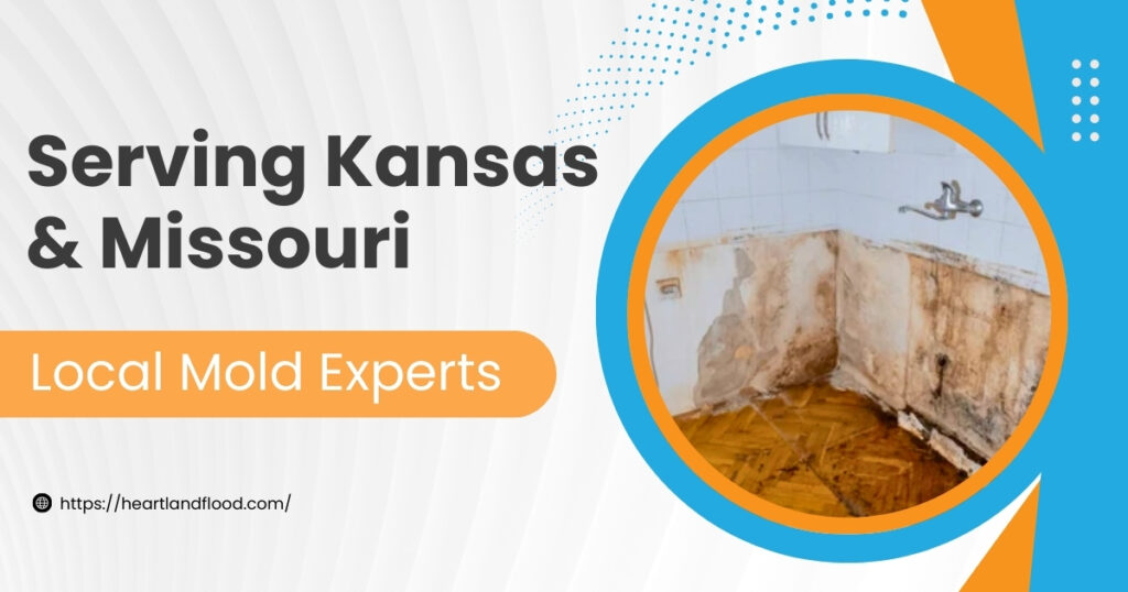 30 - Heartland Restoration Serving Kansas & Missouri—Local Mold Experts