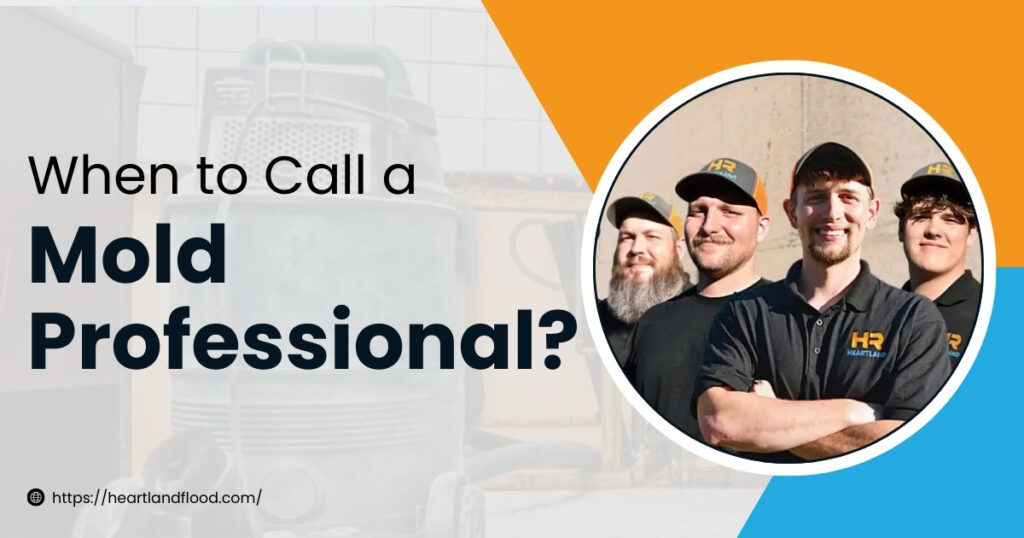 When to Call a Mold Professional?